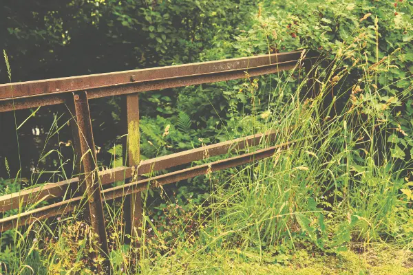 Garden Clearance Tips 