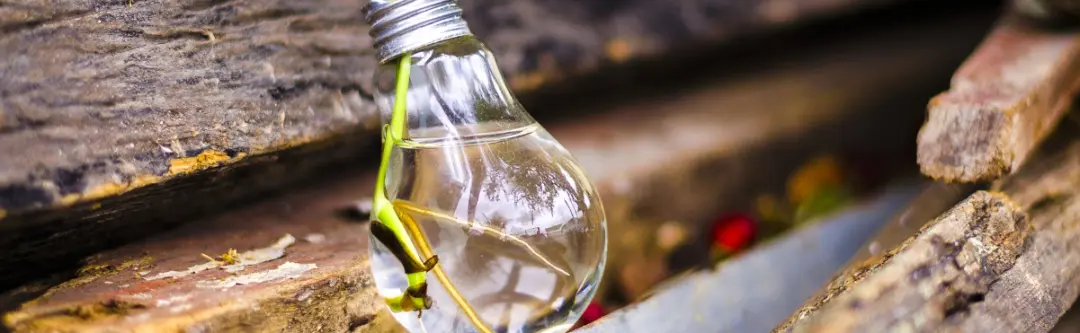 The Importance of Recycling Household Waste The Importance of Recycling Household Waste Image